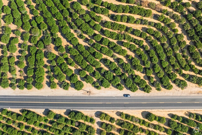 Citrus orchards in East Niles produce fruit that will be shipped around the country.