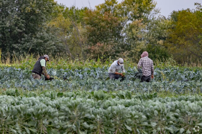 Stow Creek Township has many farms producing local organic fruits and vegetables.