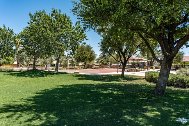 Enjoy a day outdoors at Palm Village Park with playgrounds, picnic areas, and lush landscapes.