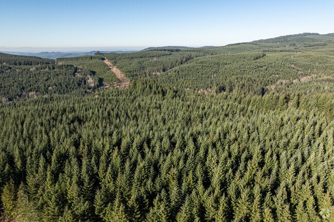 Sweet Home is surrounded by nature at the foothills of the Cascade Mountains.