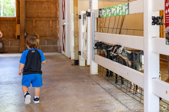 Kenwood Park is a short drive from Old Macdonlad Farm's petting zoo.