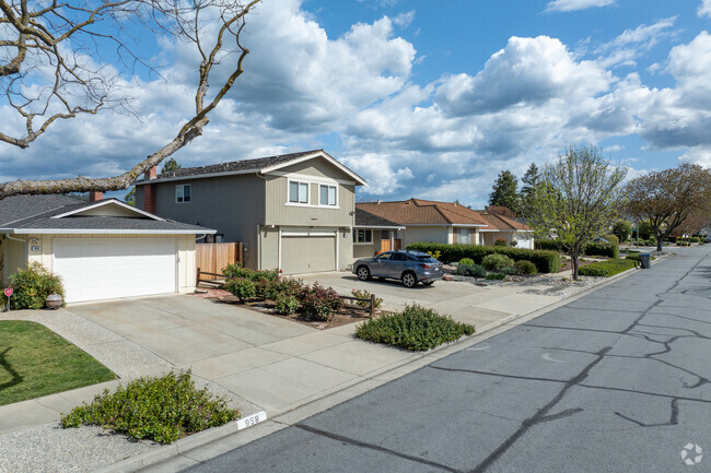 A quiet Shadow Brook II street lined with Split-Level and Ranch-style homes under a broad Almaden sky.