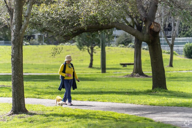 A lady enjoys a stroll with her dog through Cuesta Park in Mountain View, CA.
