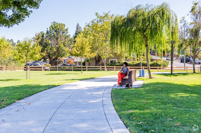 It's common to see people enjoying the afternoon in Holiday Highlands Park in Morello.