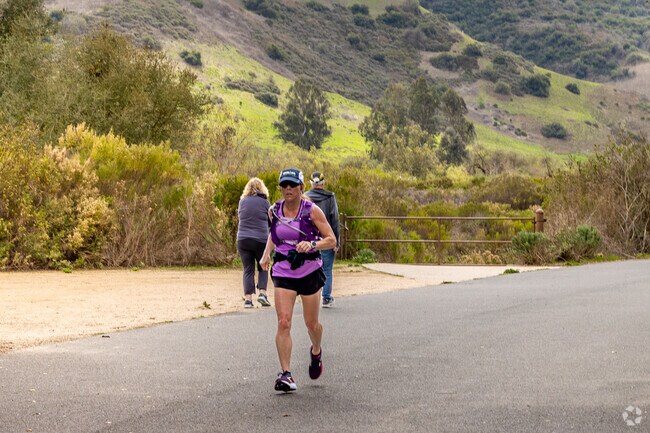 Aliso & Wood Canyon Wilderness Park features over 30 miles of trails, including popular routes like the Aliso Creek Trail and Car Wreck Trail, attracting both casual hikers and seasoned adventurers.