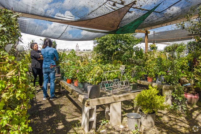 Cliff Finch's Topiary Zoo is a popular plant nursery in Friant.