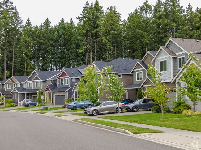 A row of new development homes lines a street in South Hill.