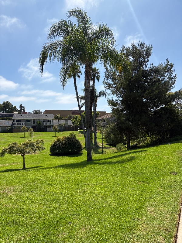 407 Requeza St Unit E-3, Encinitas, CA 92024