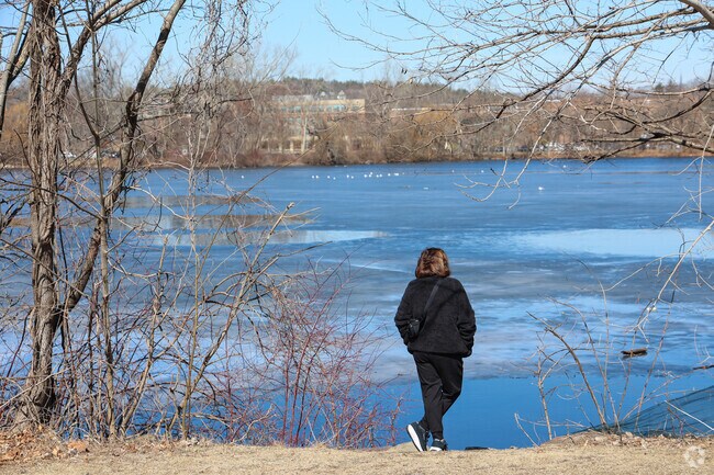 The beauty of Ell Pond captivates the residents of the Melrose Highland area.