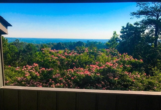 Post Ridge, Phenix City, AL 36869 - photo 4