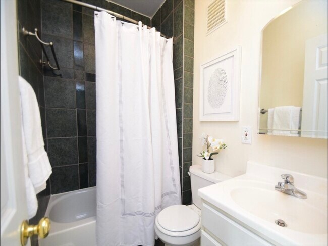 217 Boylston St unit 2, Jamaica Plain, MA 02130 - photo 6