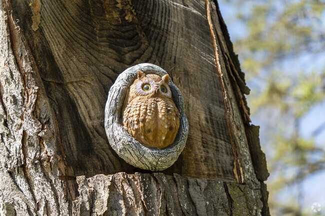 Quirky art can be found all over Clinton-George.