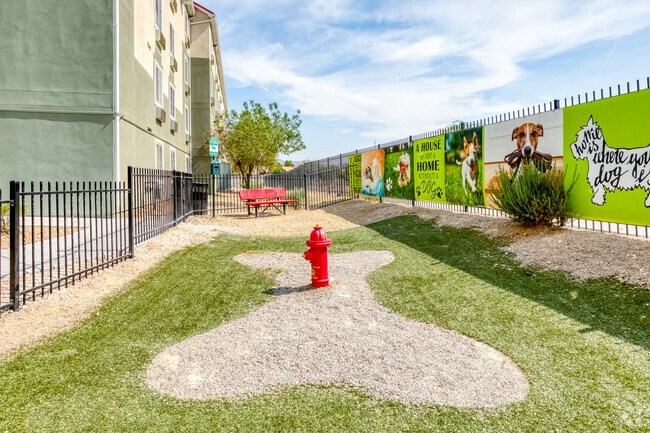Dog Park