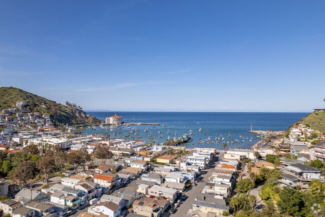 An elevated look down the streets of Avalon toward the marina.