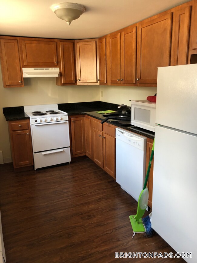 61 Selkirk Rd unit 1, Brighton, MA 02135 - photo 5