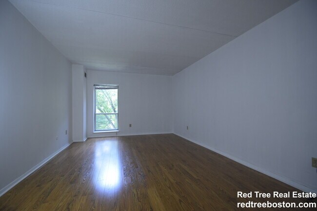 50-56 Broadlawn Park unit 3, Chestnut Hill, MA 02467 - photo 5