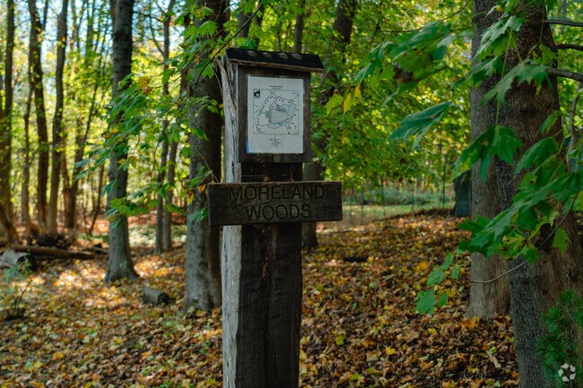 Once in Moreland Woods trail markers let you know where to walk.