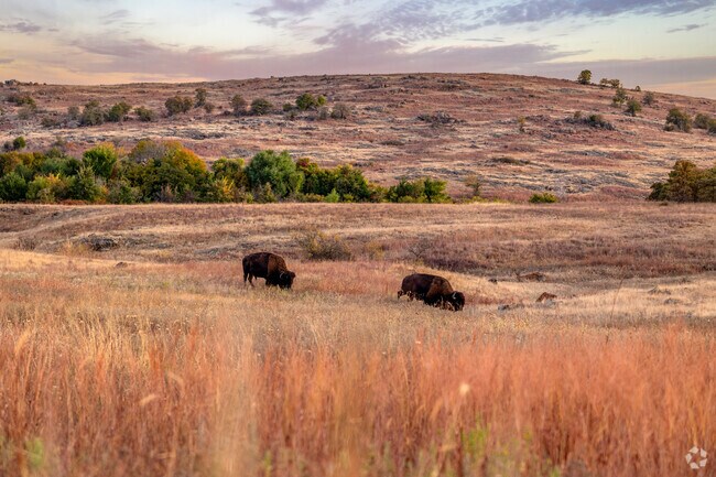 Pecan Valley residents can look for wild buffalo in the nearby prairie.