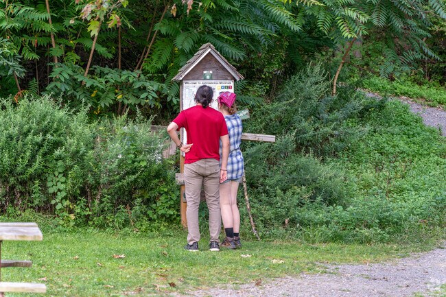 Winding trails lead up the 500-foot-tall Joppenbergh Mountain in Rosendale.
