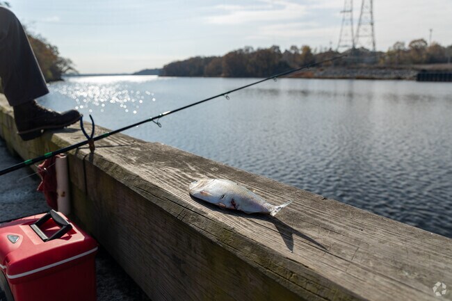 Catch some bait at Festival Pier in Pawtucket, RI.