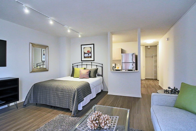 1127 N Dearborn St, Chicago, IL 60610 - photo 1