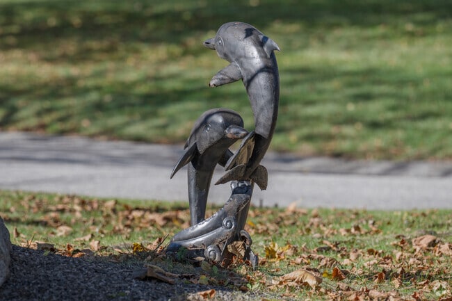 Dolphins are seldom seen in the nearby river, but are in Northeast Bristol - Kickemuit yards.