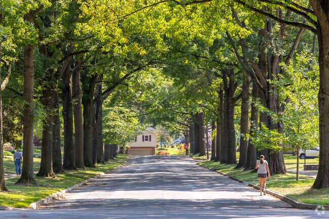 Trees shade the streets of the Kenmar neighborhood in Loyalsock Township and make it great for walking.