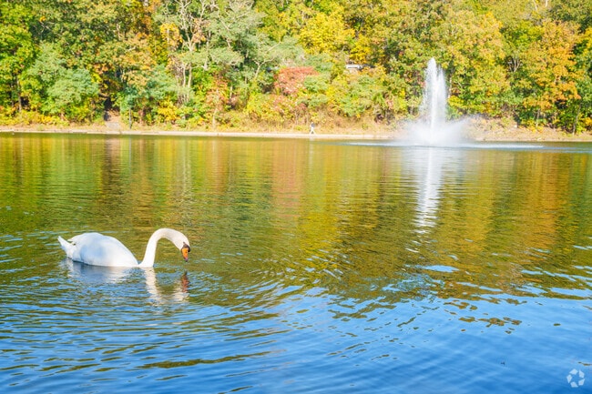 Take in the beautiful and peaceful environment at Fellsmere Park near Belmont.