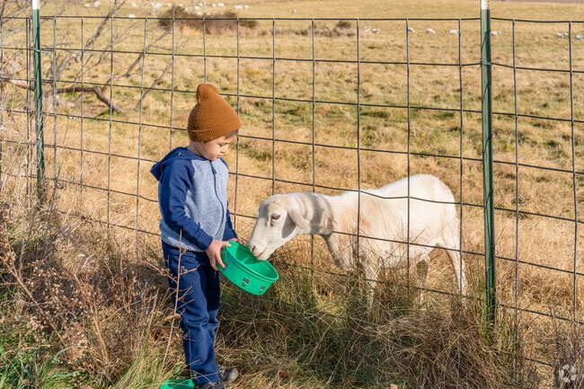 Local children feed farm animals in Washington Township Berks.