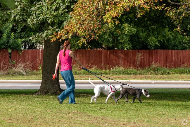 Walk your dogs in James Price Park, a large green space in Arcadian Acres.