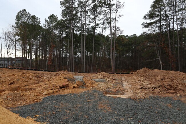 2408 Andrena Way, New Hill, NC 27562 - photo 5