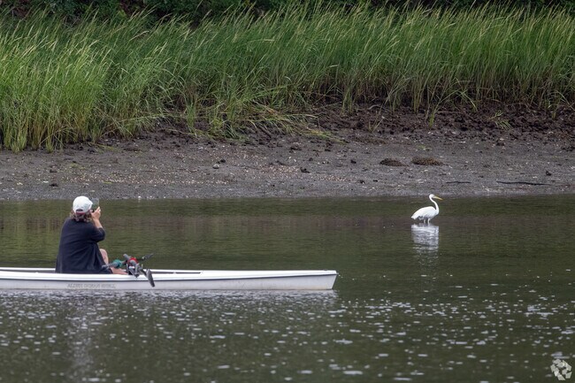 The Audubon Touisset Marsh Wildlife Refuge in Warren is an ideal location to photograph birds.