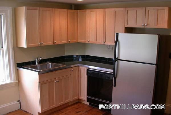 54 Dudley St unit SF, Roxbury, MA 02119 - photo 7