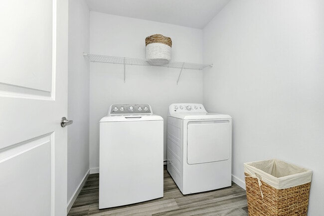 NOVO Avian Pointe, Apopka, FL 32703 - photo 4