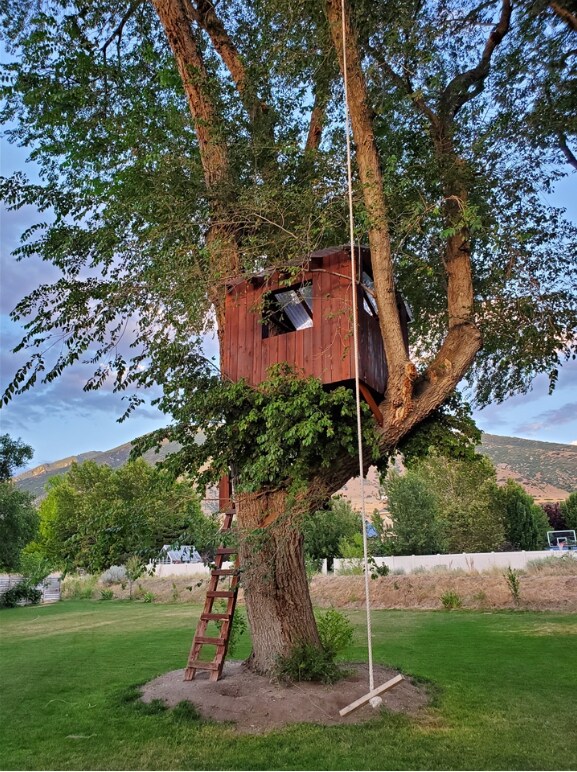 Backyard Tree House