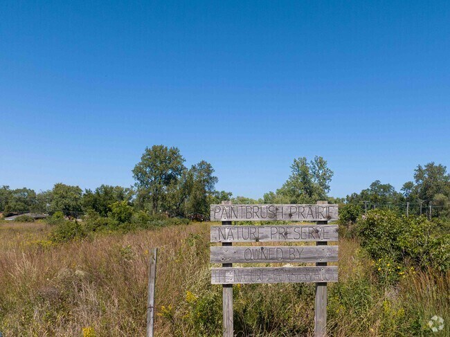 Paintbrush Prairie in Country Aire is one of the Indian Boundary Prairies in South Cook County.