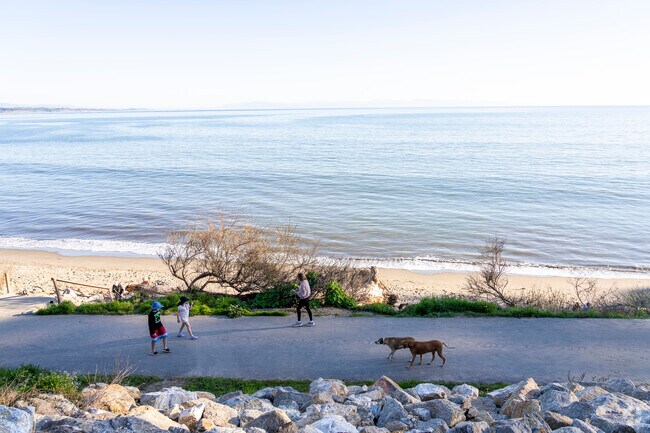 New Brighton State Beach offers a scenic trail to the water.