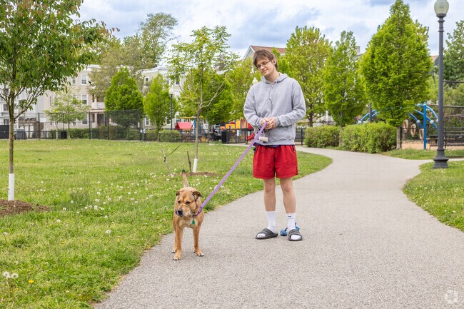 Reverend Loesch Family Park in St Marks is a fantastic place to walk your furry friend.