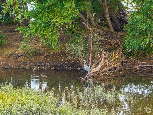 Old Lycoming reveals its natural beauty along the creek.