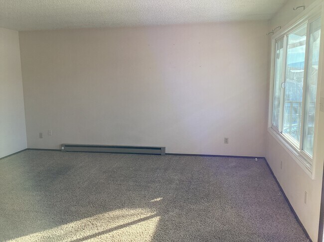 1602 Hudson St unit 4, Helena, MT 59601 - photo 5