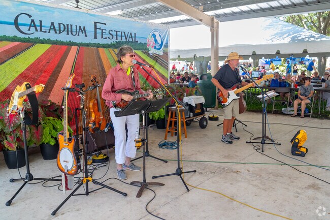 Bands play music all weekend at the The Lake Placid Caladium Festival weekend.