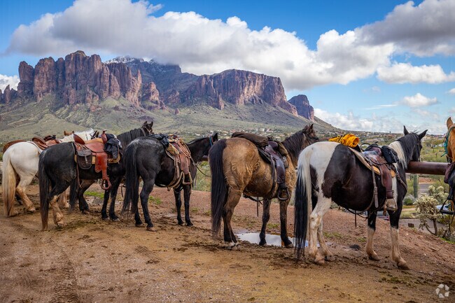 Experience camaraderie and history as you gather at Goldfield Ghost Town near Gold Canyon.