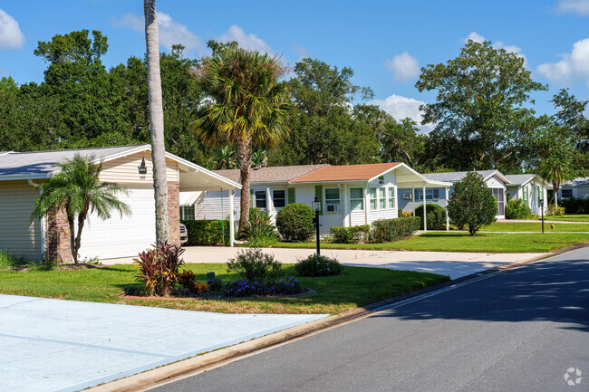Palm trees and shrubs are common in the front yards of Edgewater Landing homes.