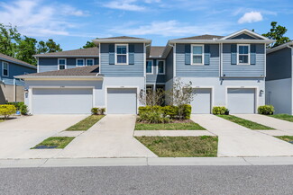 2144 Laceflower Dr, Brandon, FL 33510