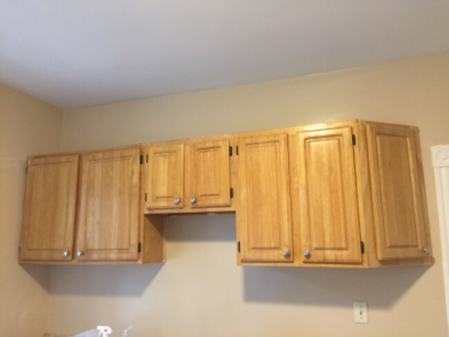 25 Wainwright St unit 1, Dorchester Center, MA 02124 - photo 7