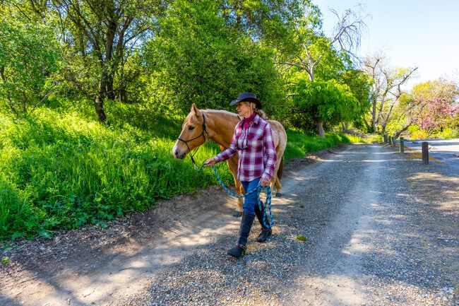 Sunrise Recreation Area is known for its beautiful horse trail.