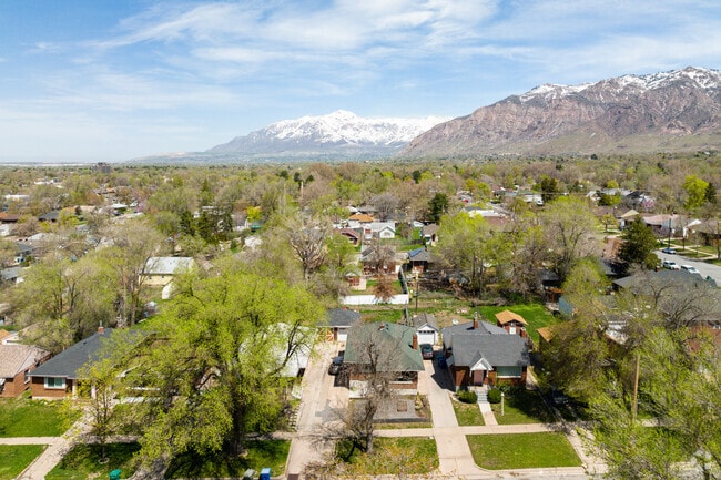 A breathtaking bird's eye view of the entire TO Smith neighborhood.