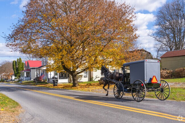 Amish horse-drawn carts are a common sight in Marion, reflecting the area’s agricultural roots.