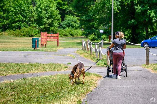 Groveton Heights Park is perfect for a scenic dog walk.