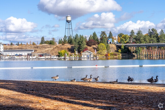 The Spokane river attracts lots of wildlife to the South Shore neighborhood.